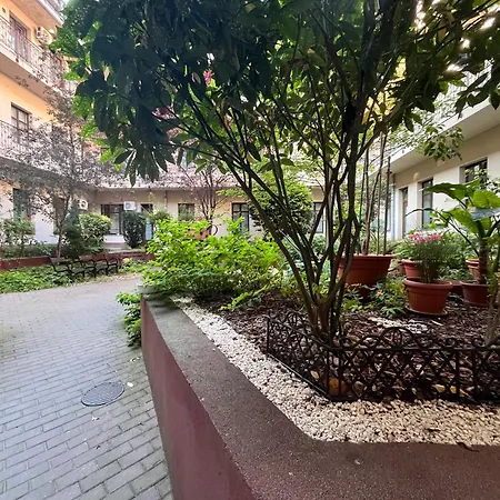 Cozy Convenient Center